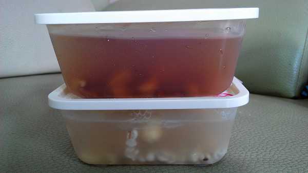 晴媽膠原鱗之凍飲