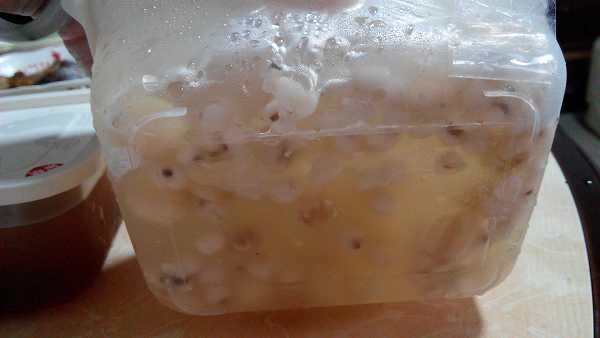 晴媽膠原鱗之凍飲