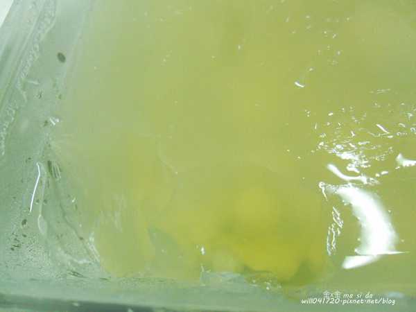 晴媽膠原鱗之凍飲