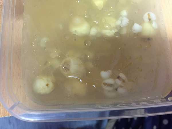 晴媽膠原鱗之凍飲