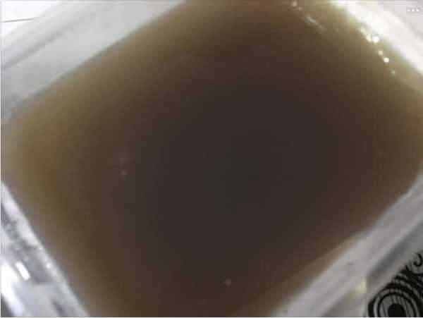 晴媽膠原鱗之凍飲