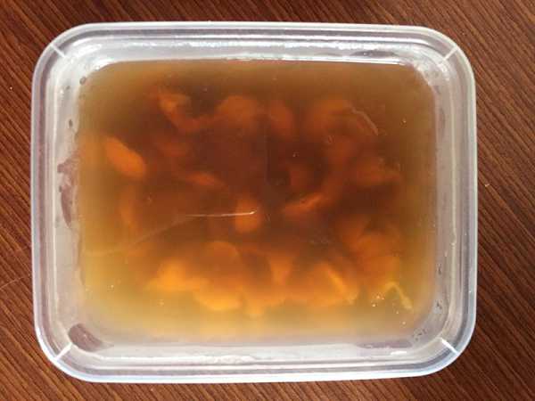 晴媽膠原鱗之凍飲