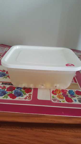 晴媽膠原鱗之凍飲