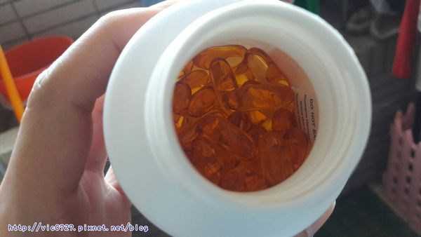 澳綠康倍SOUTHERNATURE媽咪魚油膠囊食品