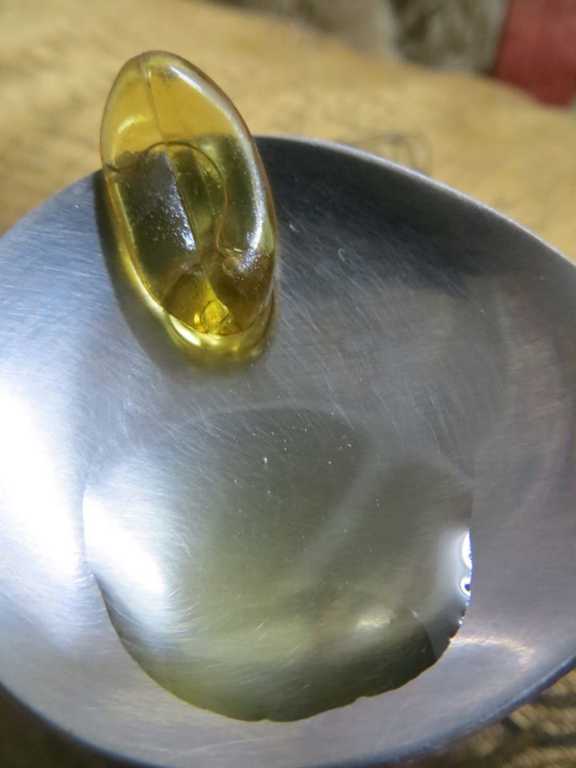 澳綠康倍SOUTHERNATURE媽咪魚油膠囊食品