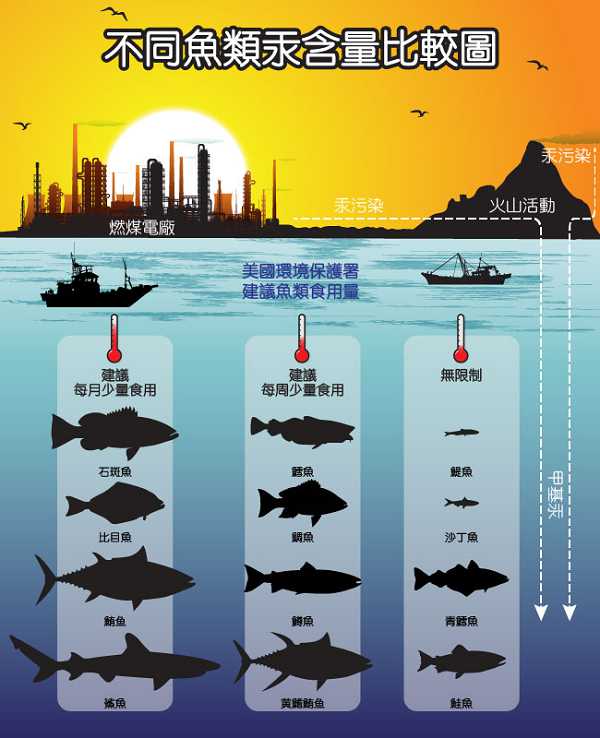 澳綠康倍SOUTHERNATURE媽咪魚油膠囊食品
