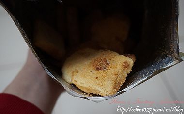 DSC02825 拷貝.jpg
