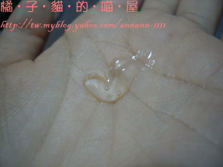 DSCN7038