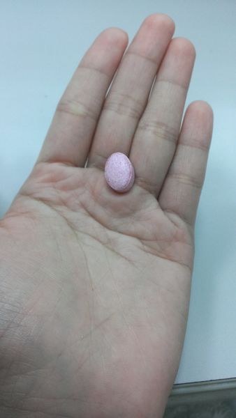 IMAG0456