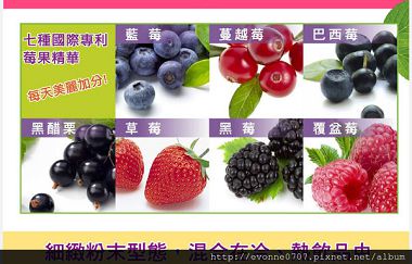 膠原蛋白EDM_11