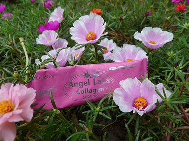 Angel LaLa天使娜拉膠原蛋白胜肽