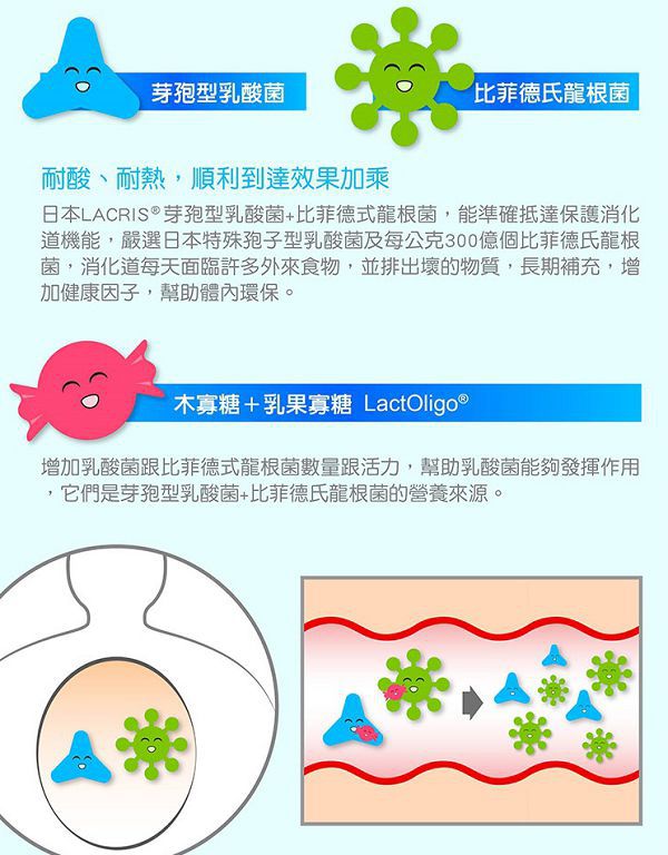 Angel LaLa天使娜拉 乳酸菌+乳果寡糖