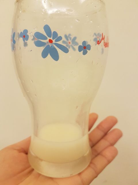 Angel LaLa天使娜拉 乳酸菌+乳果寡糖