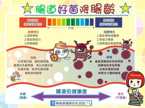 Angel LaLa天使娜拉 乳酸菌+乳果寡糖