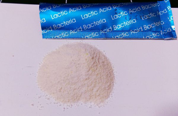 Angel LaLa天使娜拉 乳酸菌+乳果寡糖