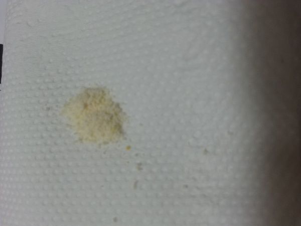 Angel LaLa天使娜拉 乳酸菌+乳果寡糖