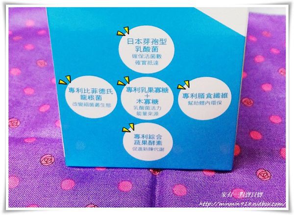 Angel LaLa天使娜拉 乳酸菌+乳果寡糖