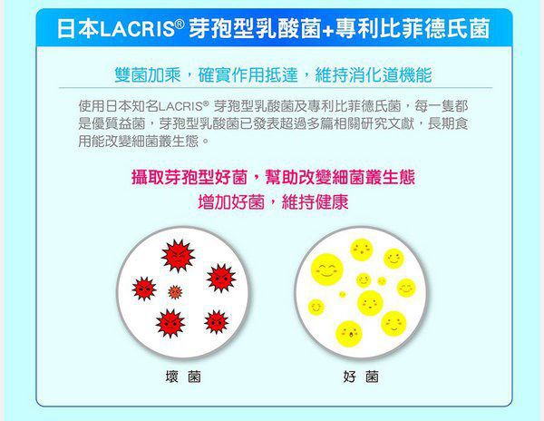 Angel LaLa天使娜拉 乳酸菌+乳果寡糖