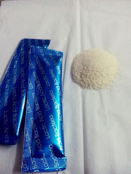 Angel LaLa天使娜拉 乳酸菌+乳果寡糖