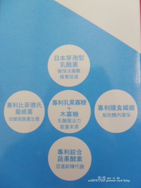 Angel LaLa天使娜拉 乳酸菌+乳果寡糖