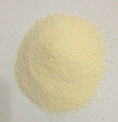 Angel LaLa天使娜拉 乳酸菌+乳果寡糖