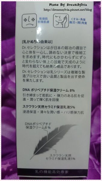賽萊斯