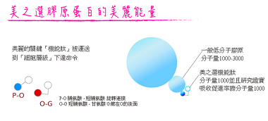 螢幕快照 2014-06-18 下午6.13.43