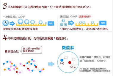 膠原蛋白EDM_05