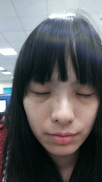 IMAG7806