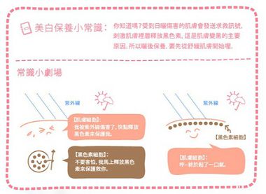 美白保養小常識