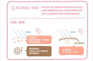 試用