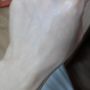 20141107_081042[1]