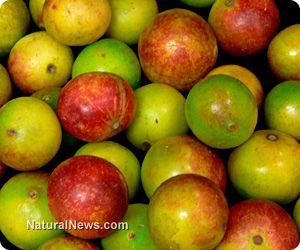 Camu-Camu