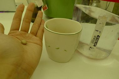 御松田卡姆果咀嚼錠：[試吃]御松田卡姆果咀嚼錠