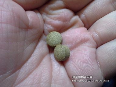  康萃迷妳錠燃燒舒暢系列組