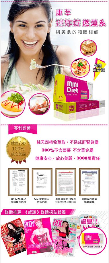 試用