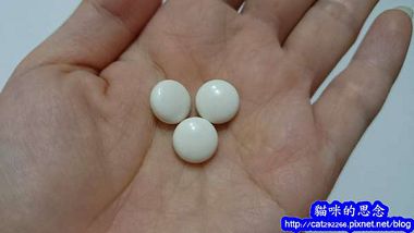 PhotoCap_005.jpg