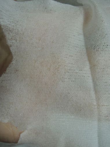 DSCN5925.JPG