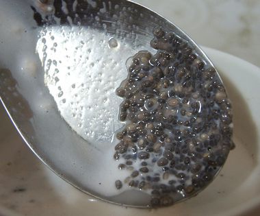 06.JPG