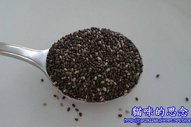 PhotoCap_047.jpg