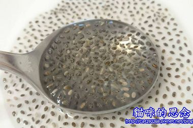 PhotoCap_063.jpg