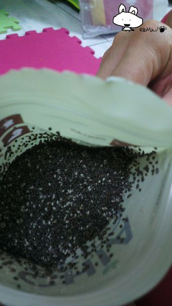 百喬chiALABIOJOY奇異籽奇亞籽
