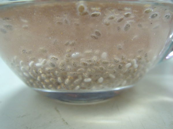 DSCN6769.JPG