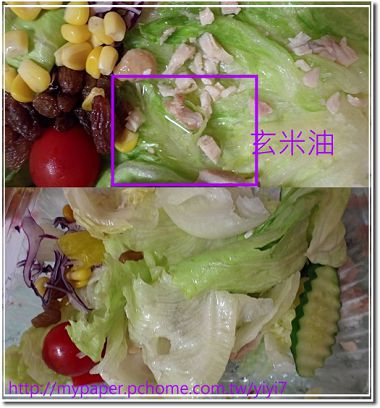 玄米油---沙拉--2.jpg