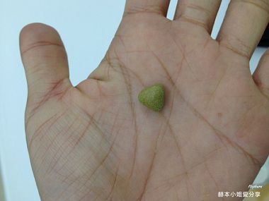 PhotoCap_003.jpg