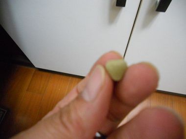 DSCN4022