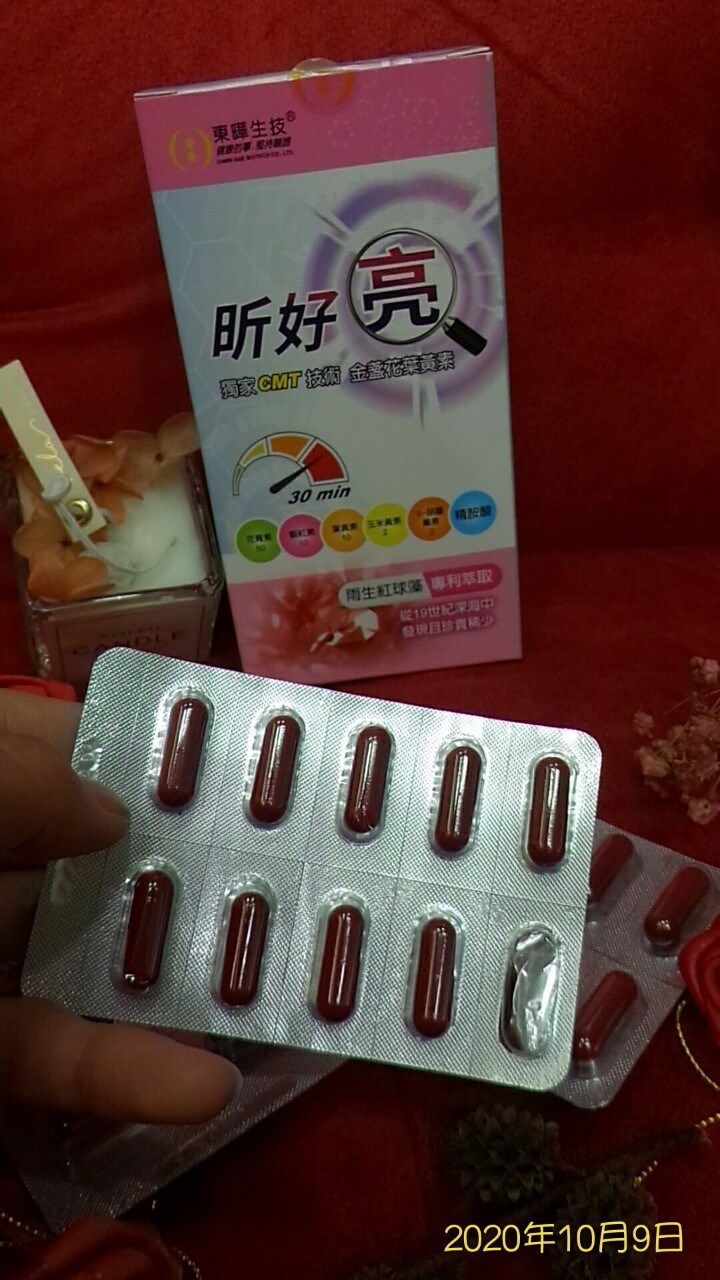 試用