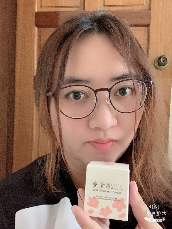 試用