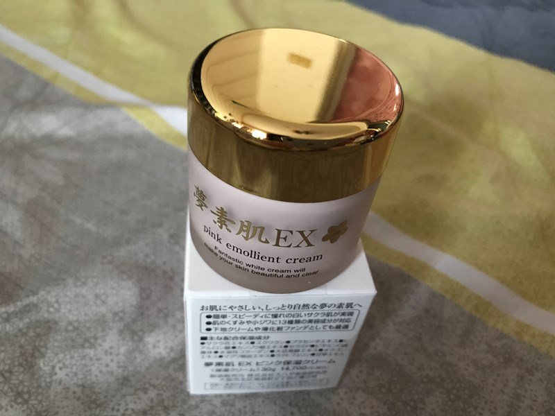試用