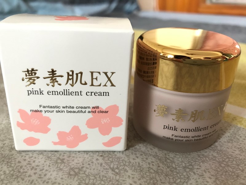 試用